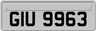 GIU9963