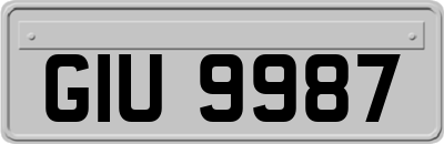 GIU9987
