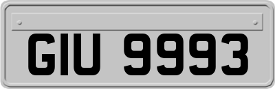 GIU9993