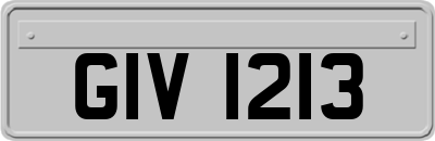 GIV1213