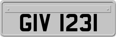 GIV1231