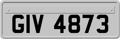 GIV4873