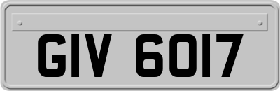 GIV6017