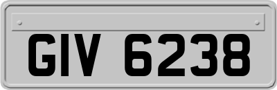 GIV6238