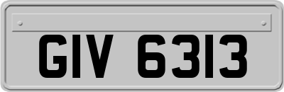 GIV6313