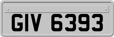 GIV6393