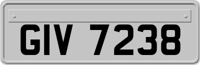 GIV7238