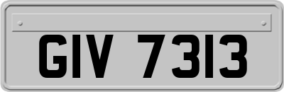 GIV7313