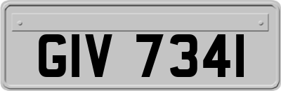 GIV7341