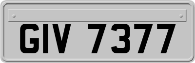 GIV7377