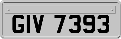 GIV7393