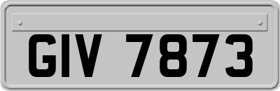 GIV7873