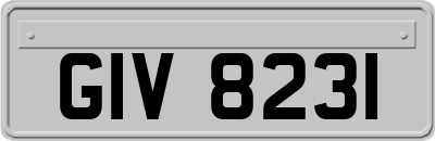 GIV8231