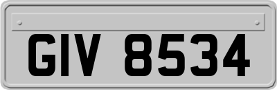 GIV8534