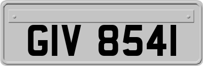 GIV8541