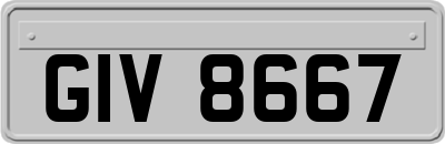 GIV8667