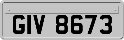 GIV8673
