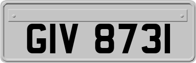 GIV8731