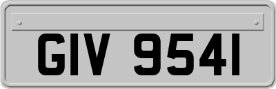 GIV9541