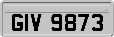 GIV9873