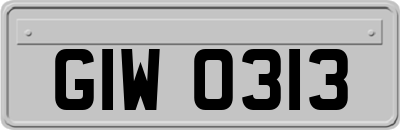 GIW0313