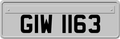 GIW1163