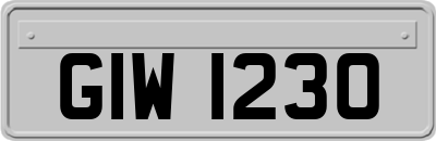 GIW1230
