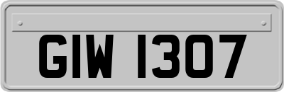 GIW1307