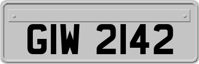 GIW2142