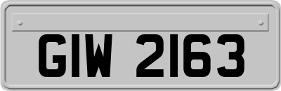 GIW2163