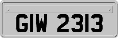 GIW2313