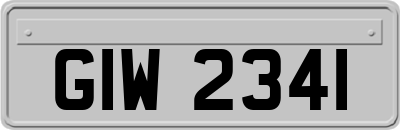 GIW2341