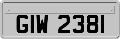 GIW2381