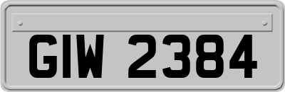 GIW2384