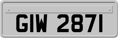 GIW2871