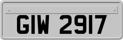 GIW2917