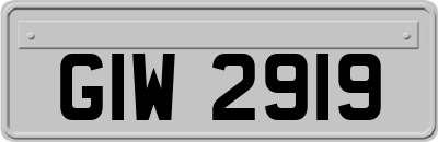 GIW2919