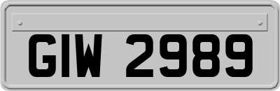GIW2989