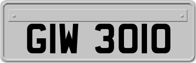 GIW3010