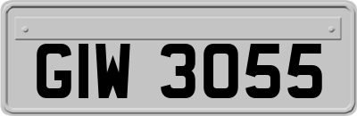 GIW3055