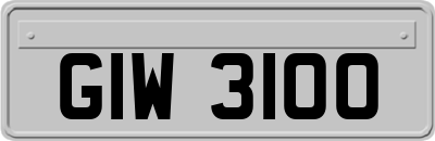 GIW3100