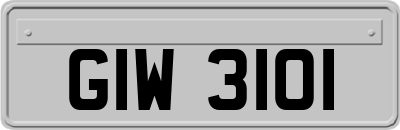 GIW3101
