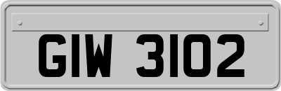 GIW3102