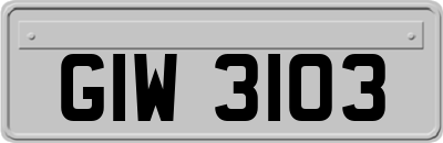 GIW3103