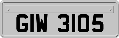 GIW3105