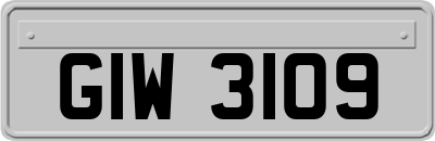 GIW3109