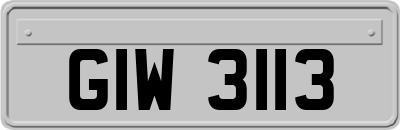 GIW3113