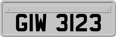 GIW3123