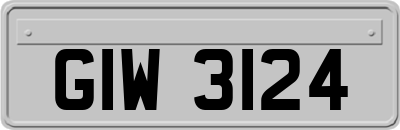 GIW3124
