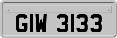GIW3133